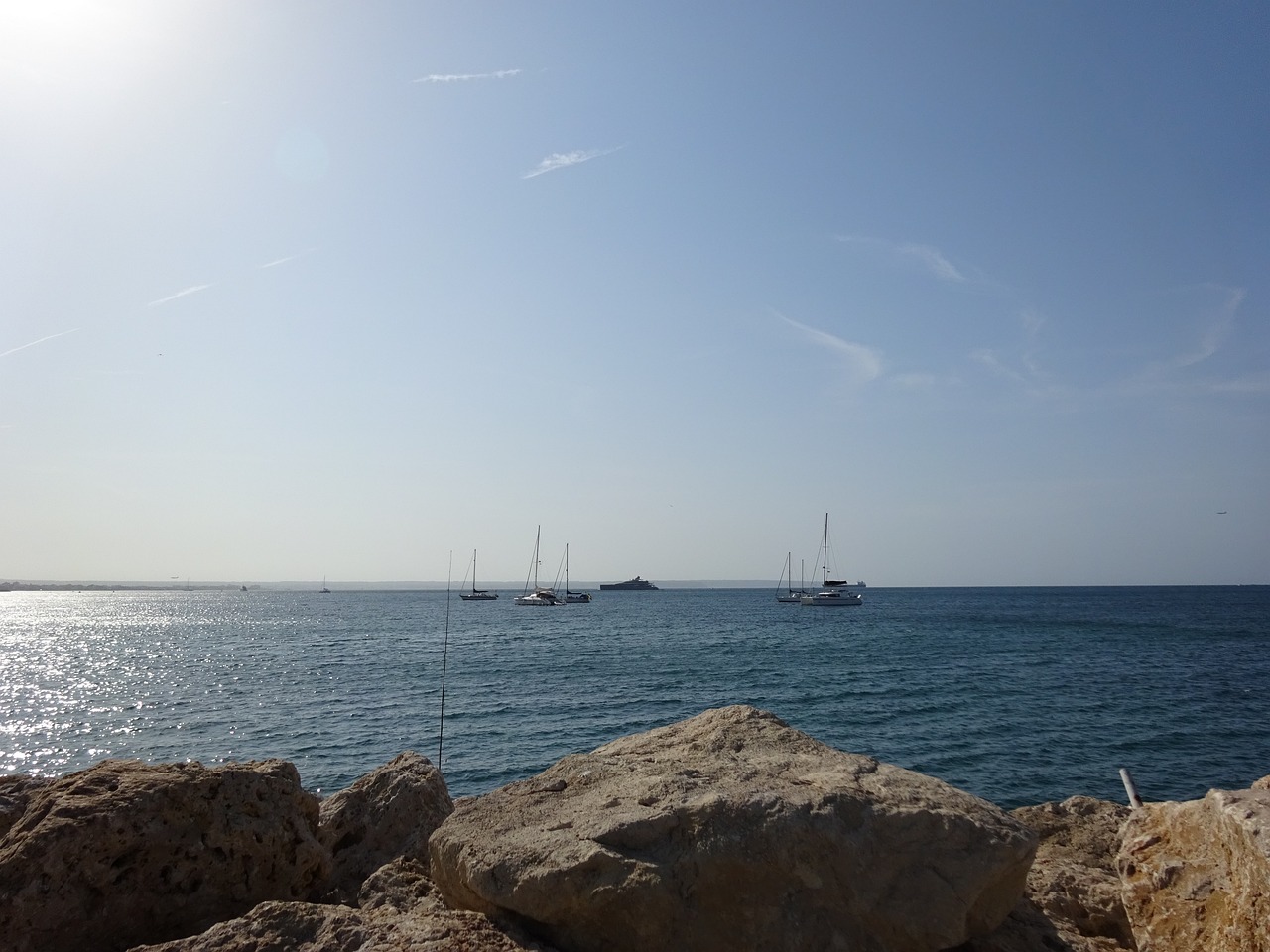 Cine zona este: 5 películas imperdibles para disfrutar este año 1 cine zona este