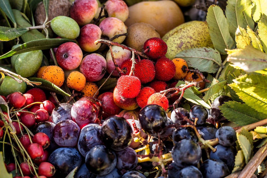 Dieta antiinflamatoria: 5 alimentos esenciales para tu salud 1 dieta antiinflamatoria