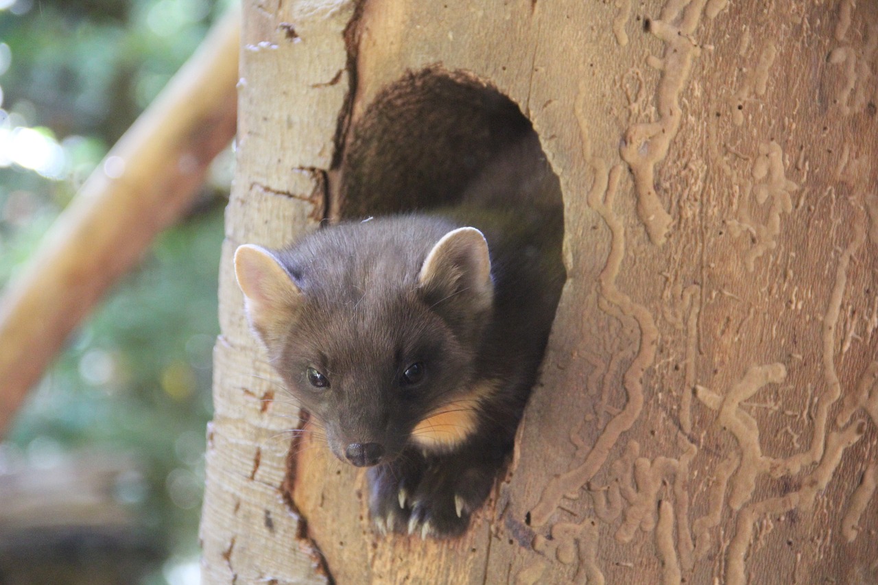 Dr martens: 5 estilos icónicos que debes conocer ahora 4 dr martens