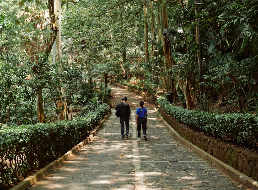 Hombre en llamas: 5 lecciones de vida que no puedes ignorar 4 hombre en llamas