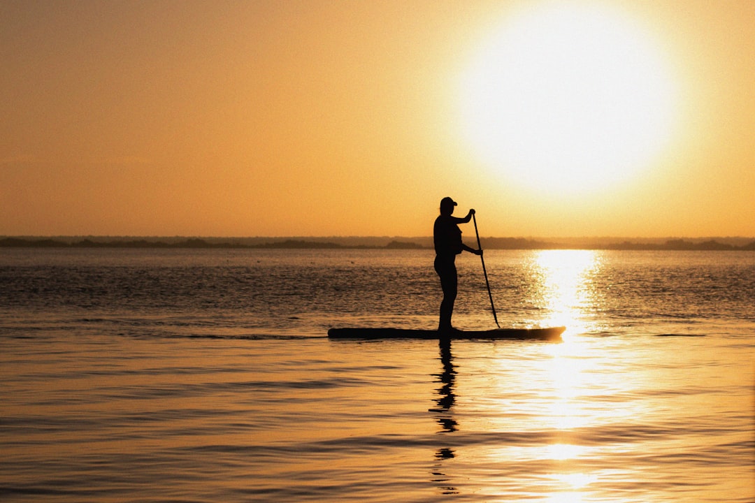 paddle