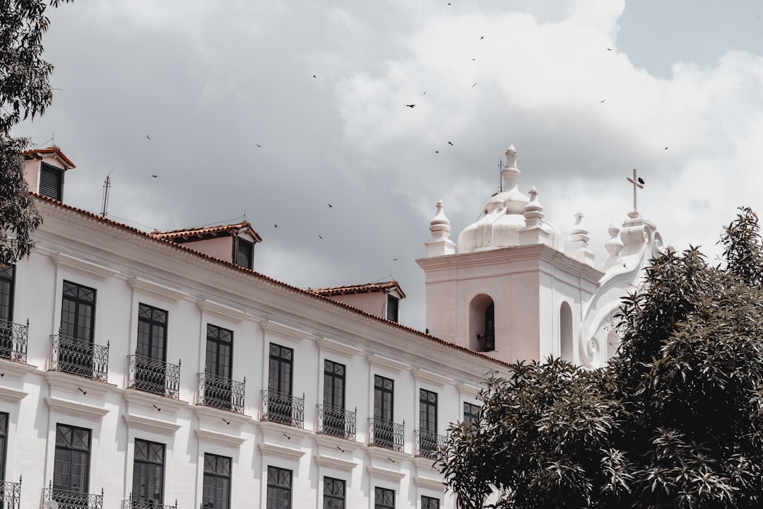 Ribotripsin para que sirve: 5 beneficios esenciales que debes conocer 5 ribotripsin para que sirve