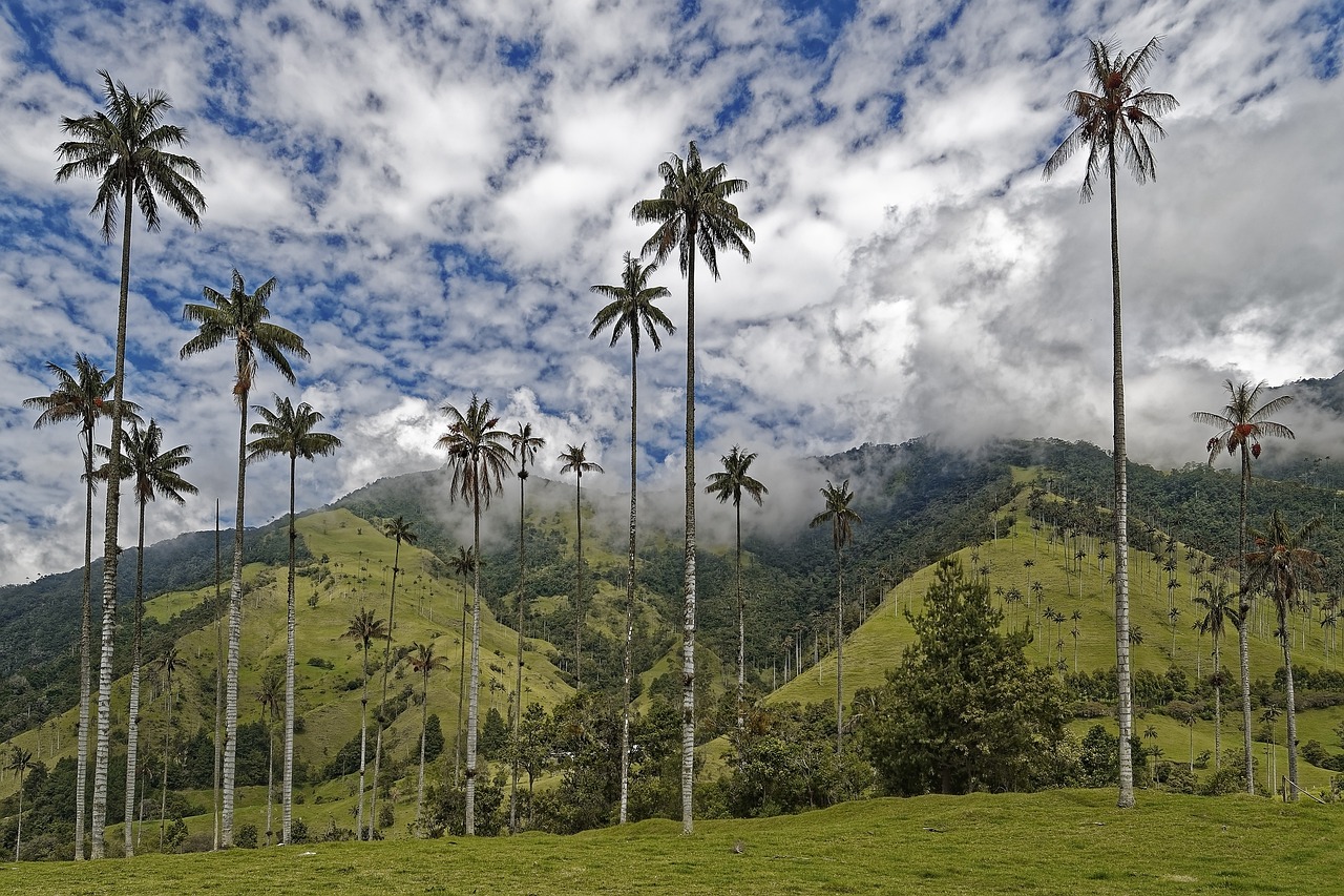santa cruz del valle