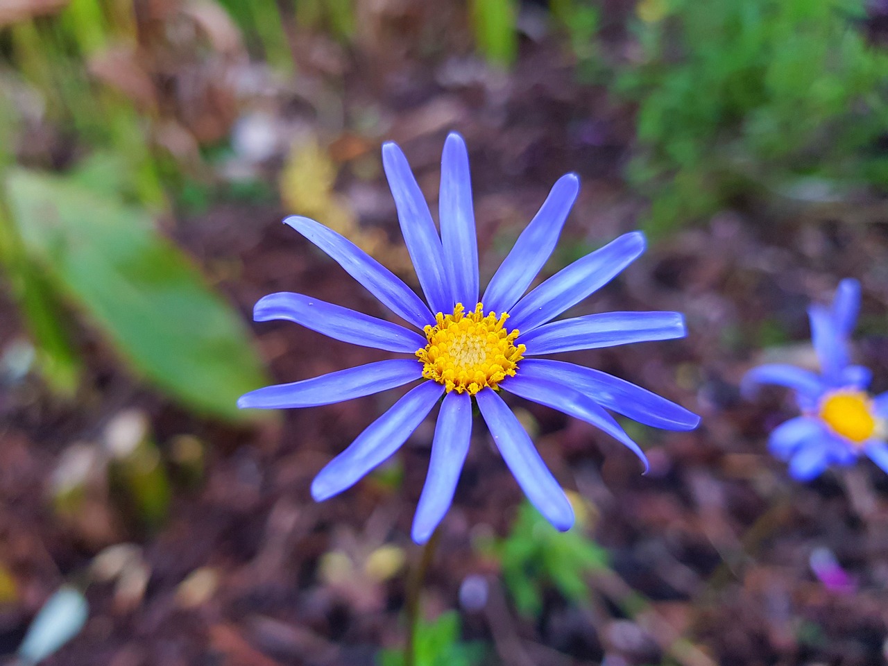 123.hp.com: 5 pasos para configurar tu impresora fácilmente 4 123.hp.com