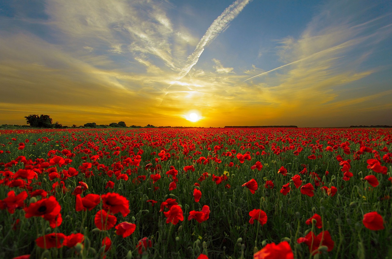30 sunsets para enamorarte: 5 lugares mágicos para compartir juntos 1 30 sunsets para enamorarte