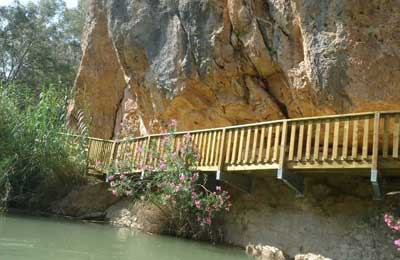 Calasparra: 5 recetas deliciosas para disfrutar en casa 5 Calasparra