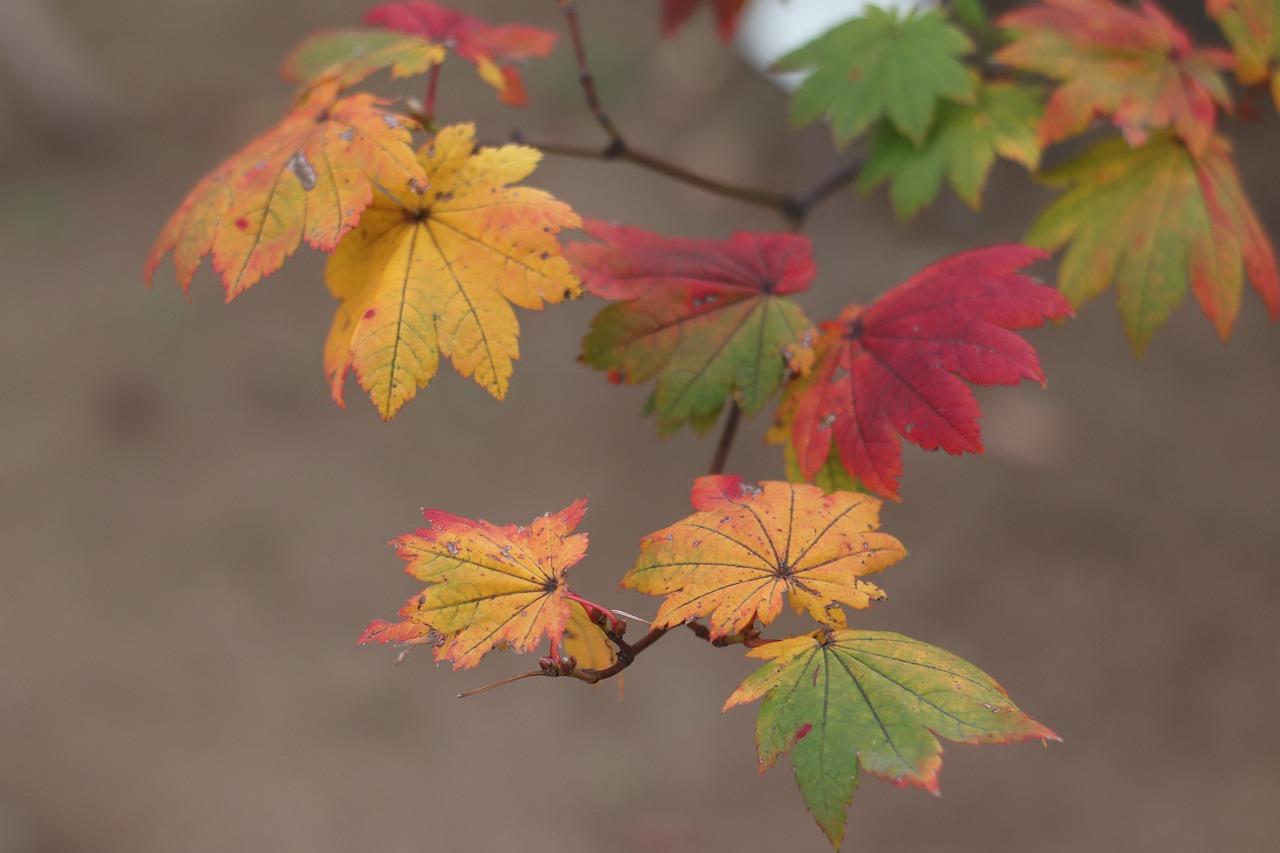 Aki: 5 trucos para optimizar tu tiempo de estudio 5 aki