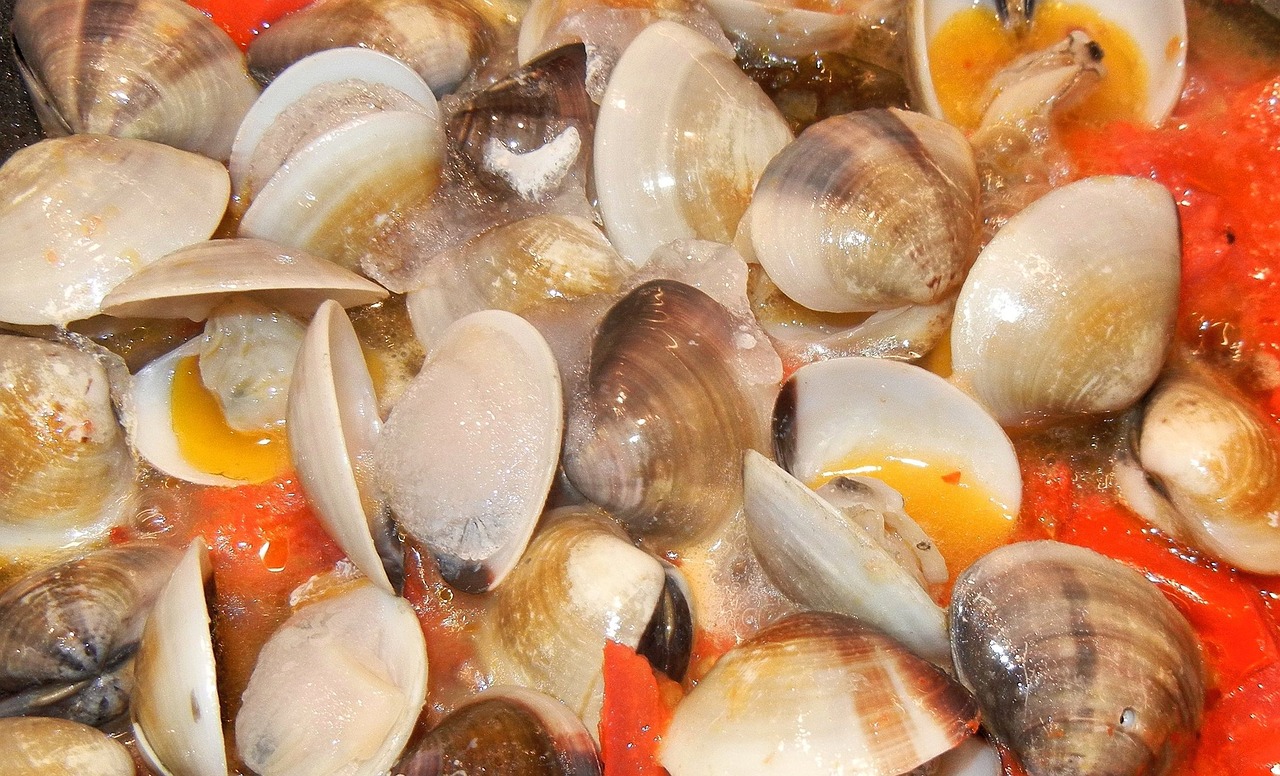 Almeja: 5 recetas deliciosas para disfrutar de la almeja en casa 5 almeja