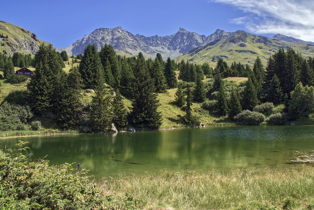 Alpes suizos: 5 rutas imperdibles para disfrutar la naturaleza 5 alpes suizos