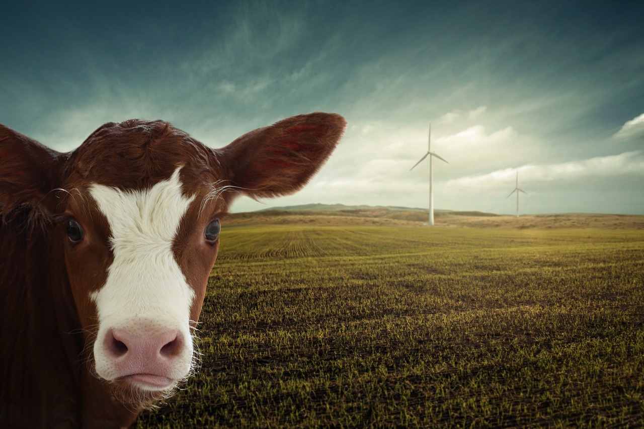 Aquaman 2 reparto: Descubre los personajes que regresan y nuevos 1 3 aquaman 2 reparto