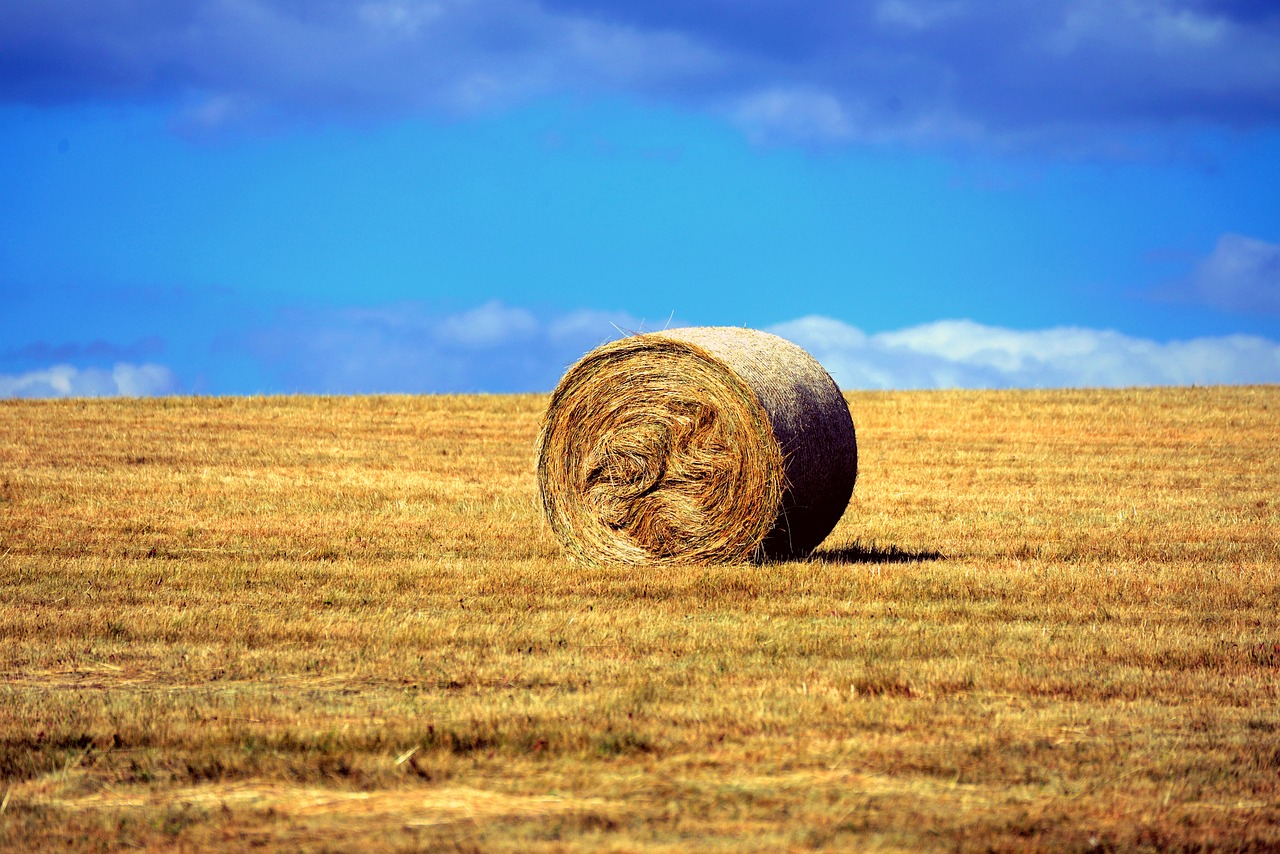 Aquí no hay quien viva reparto: 5 actores que marcaron la serie 5 aquí no hay quien viva reparto