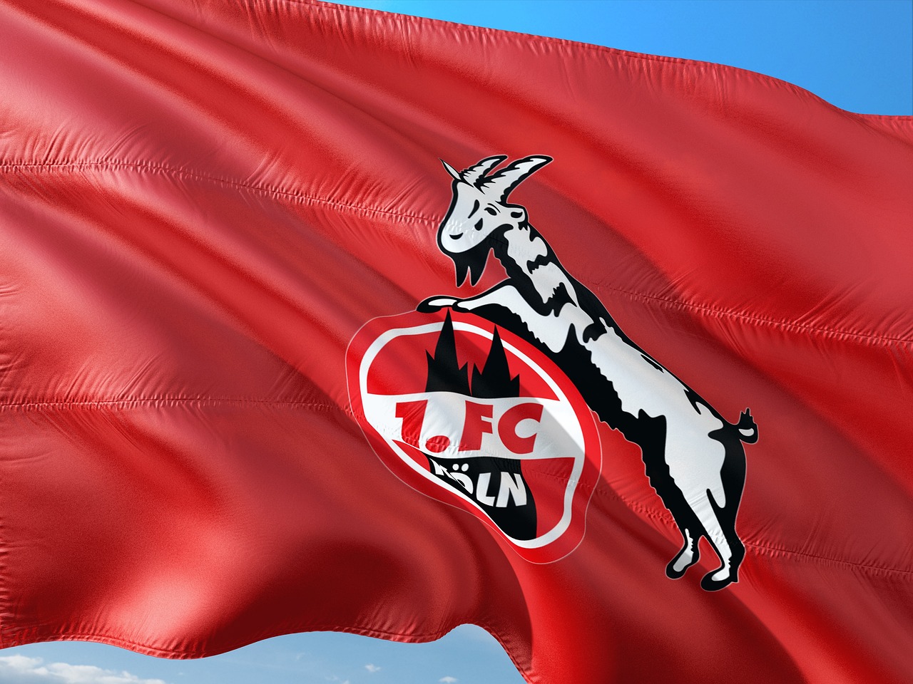 argelia fc