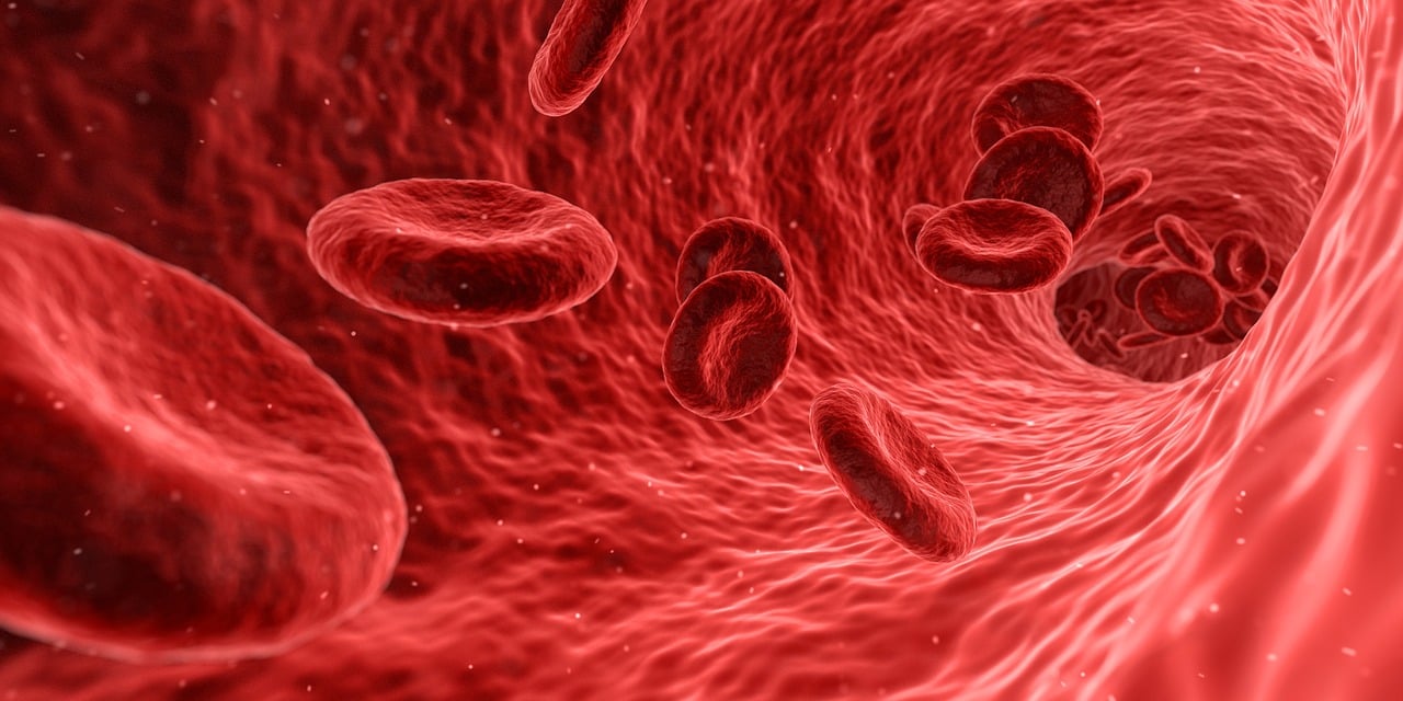 Arteria: 7 claves para mantener una buena salud cardiovascular 4 arteria