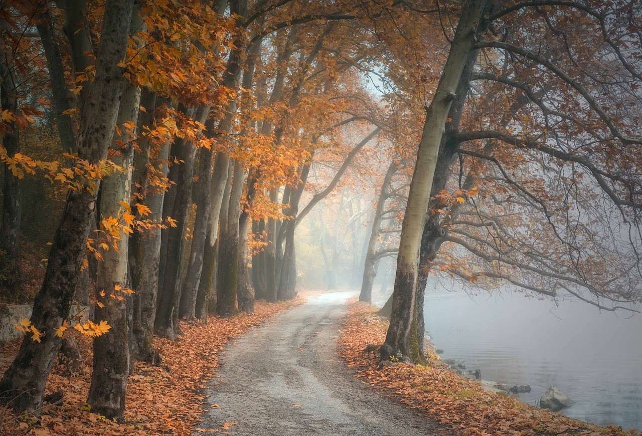 Autumn: 5 formas de disfrutar al máximo la temporada de otoño 2 autumn