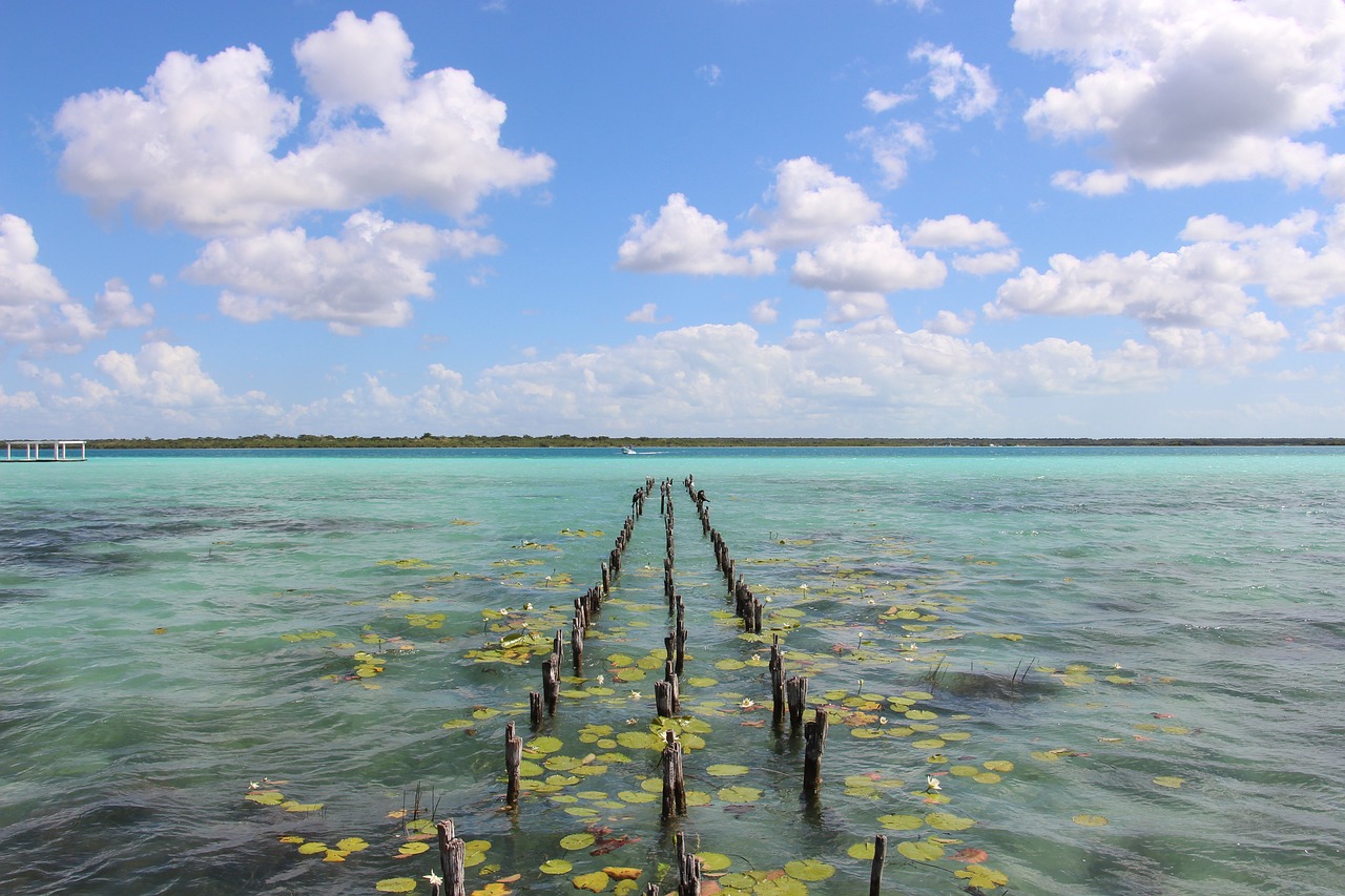 bacalar