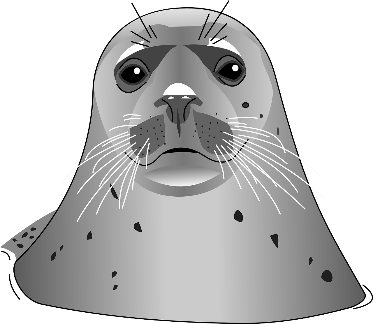 barry seal