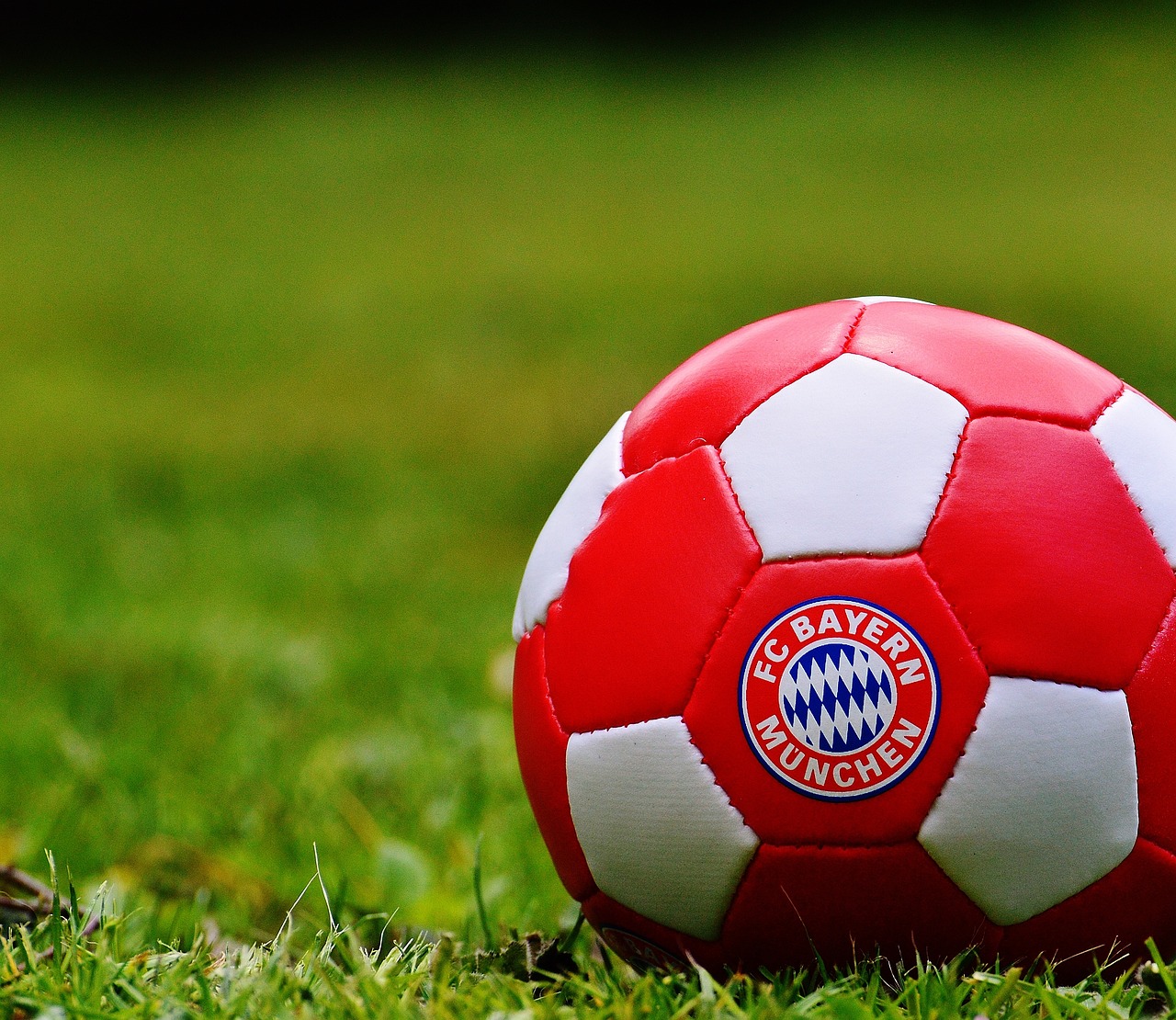 bayern leverkusen