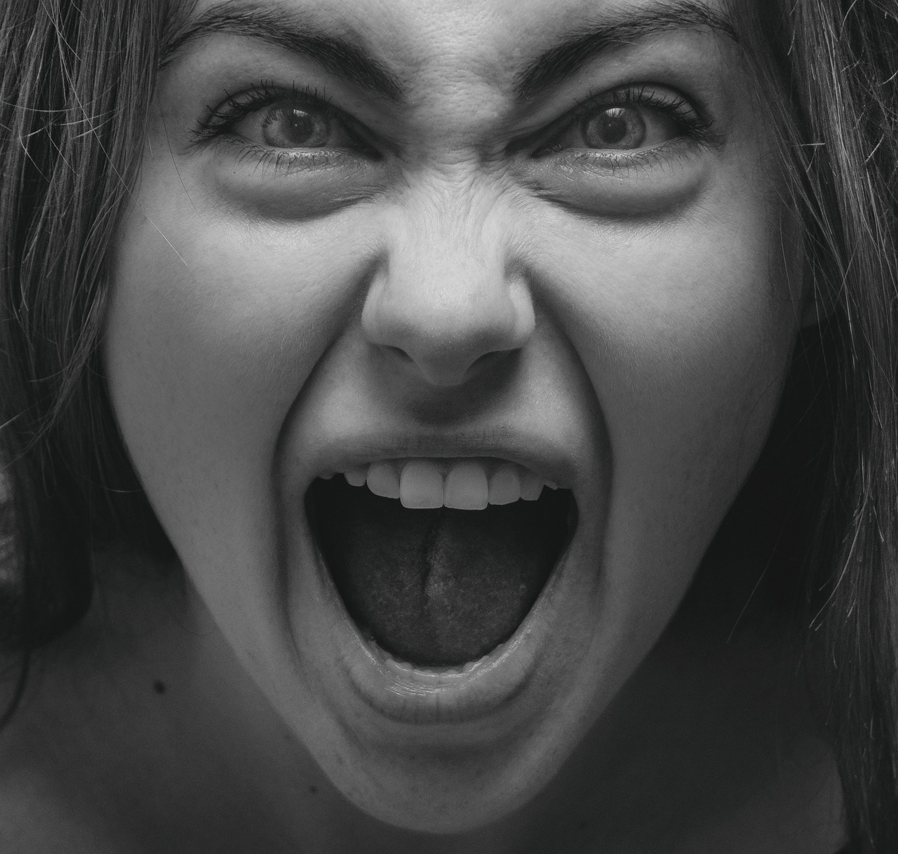 be mad directo