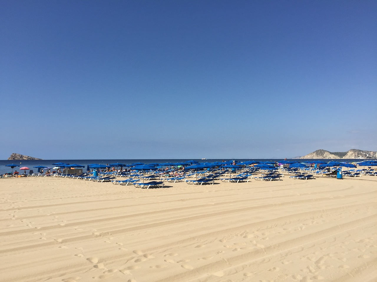 benidorm fest 2024