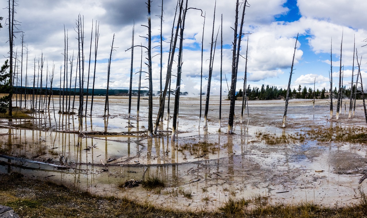 Bobby Charlton: 5 logros que definieron su legendaria carrera 1 bobby charlton