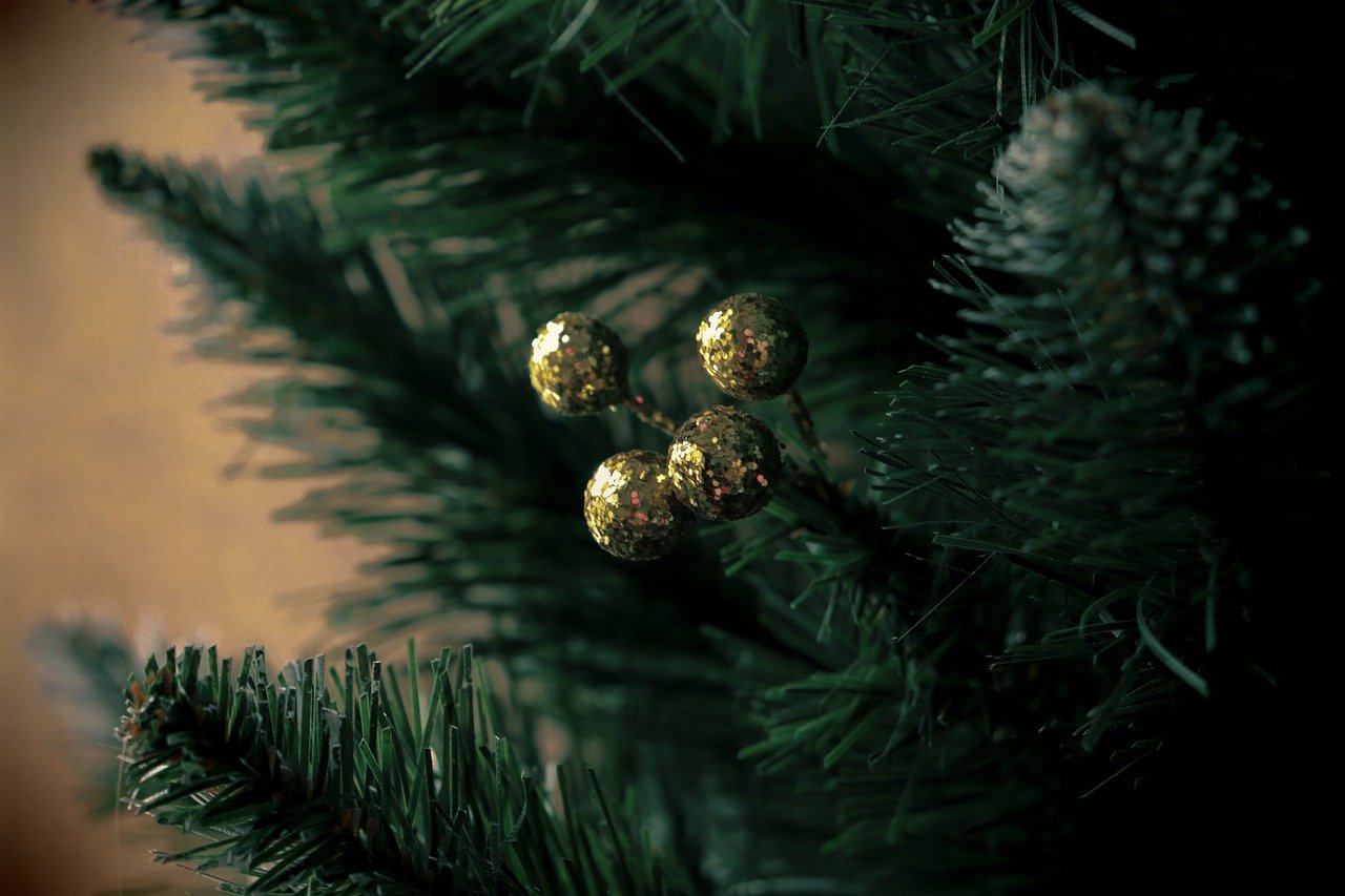 bonitas frases de navidad