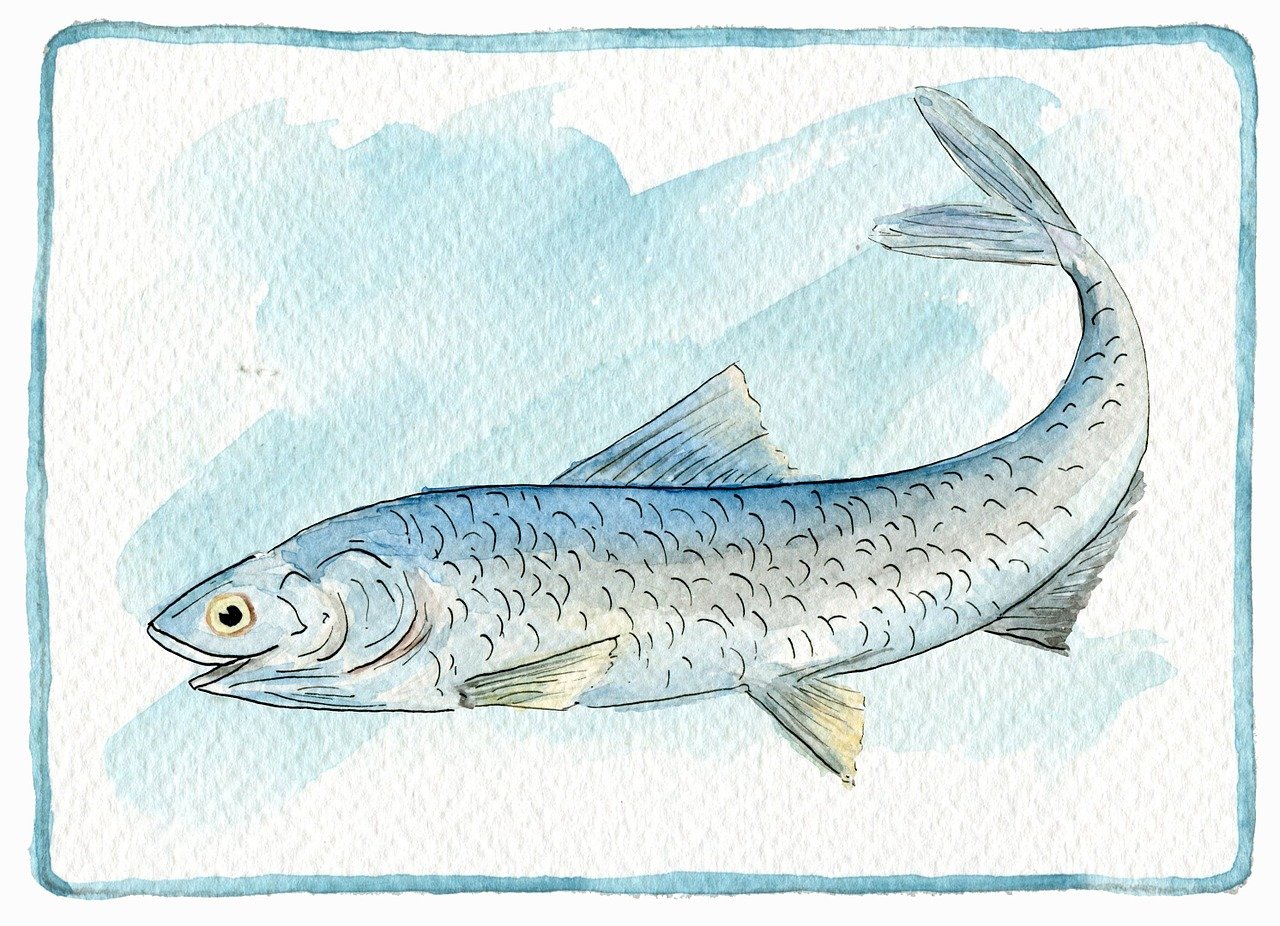 Boquerones: 5 recetas deliciosas para disfrutar en casa 1 boquerones