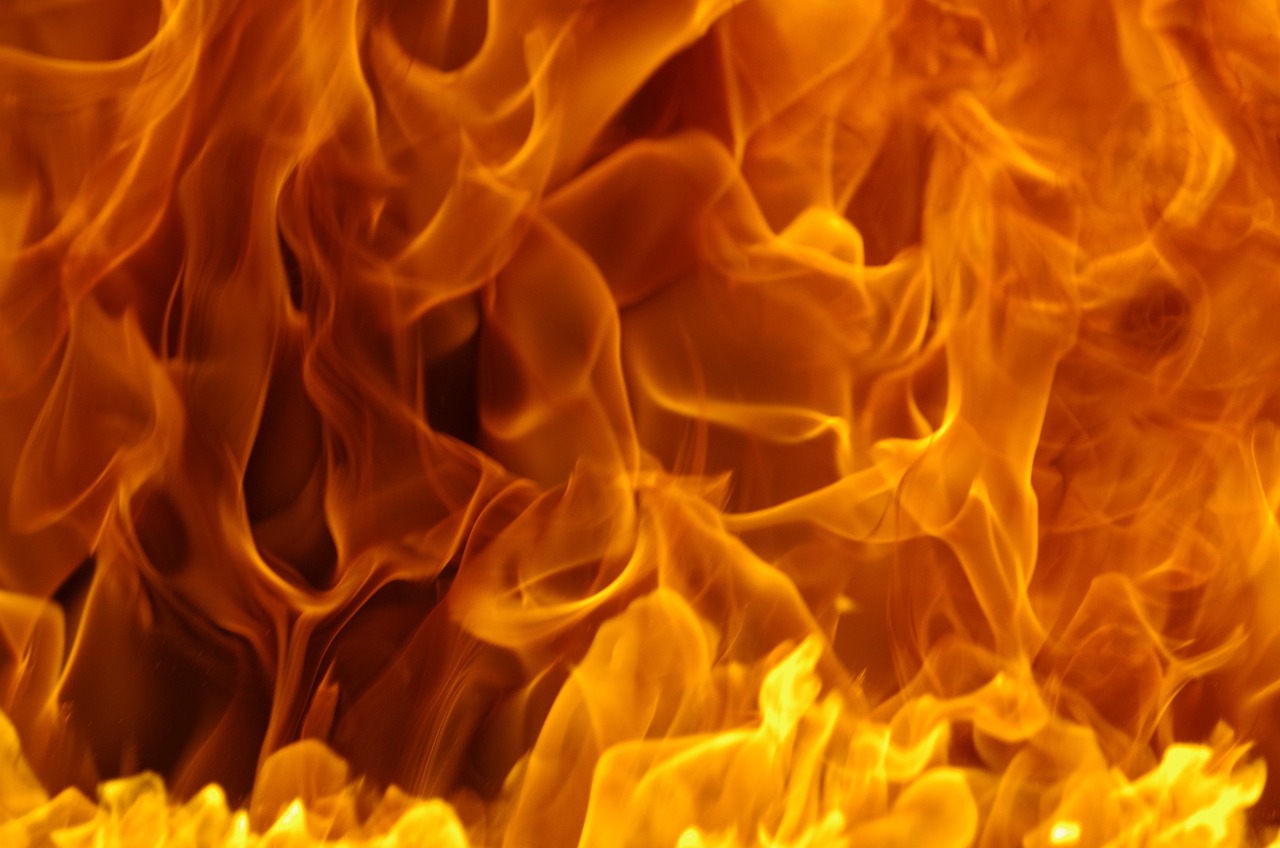 brand