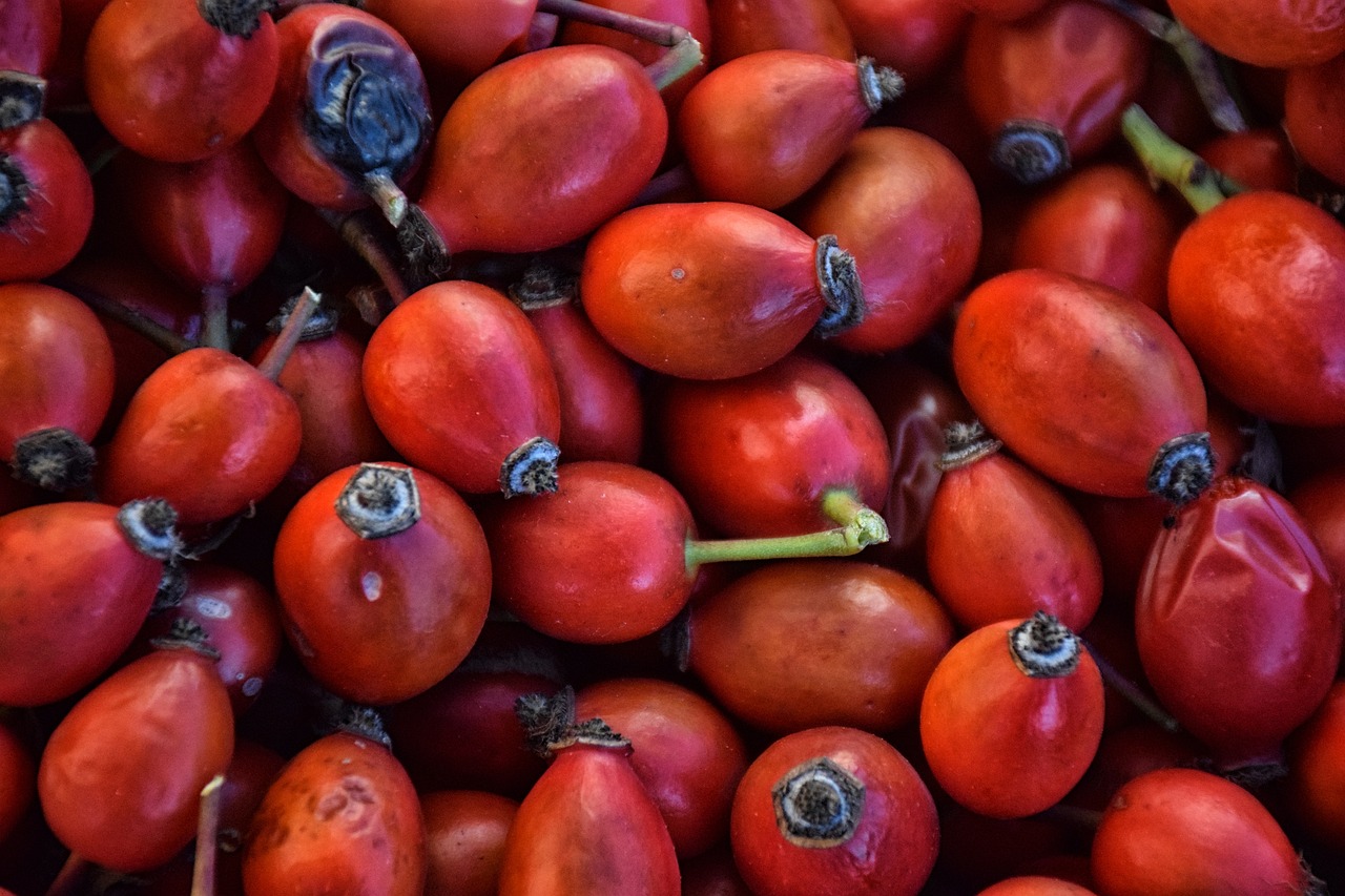 Briar: 5 maneras efectivas de cuidar tus plantas de interior 3 briar