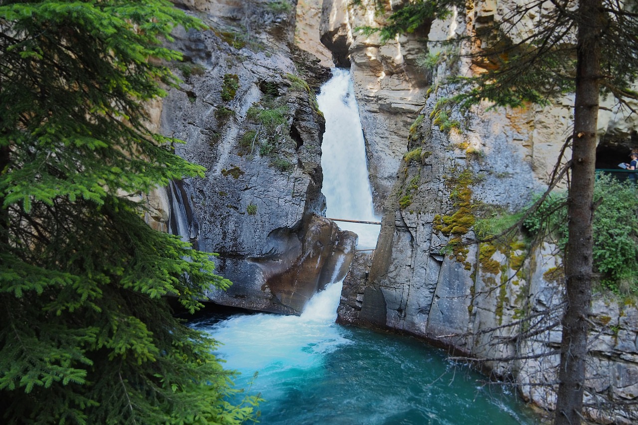 Bryan johnson: 5 claves para potenciar tu bienestar personal 2 bryan johnson