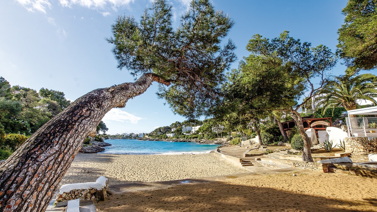Cala Agulla: 5 razones para visitar este paraíso escondido 4 cala agulla