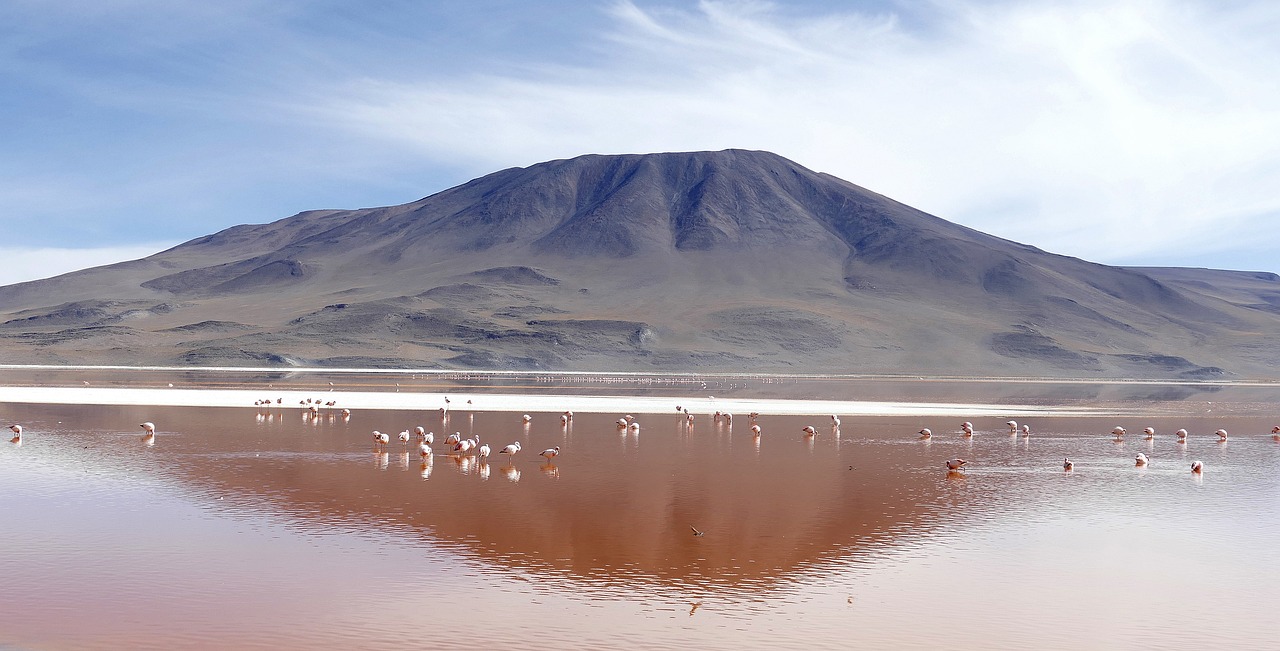 cara frita bolivia