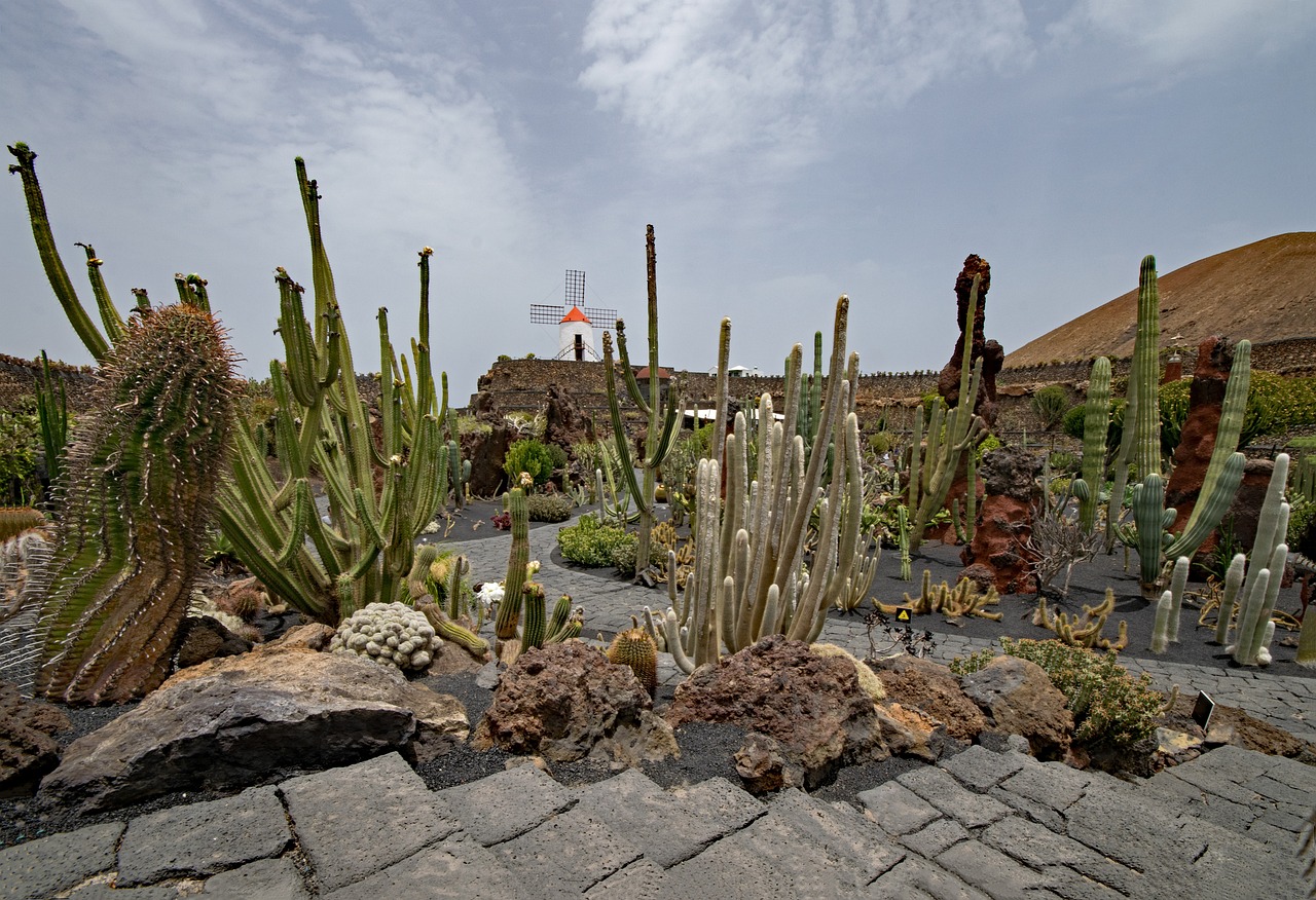 caseta jardin