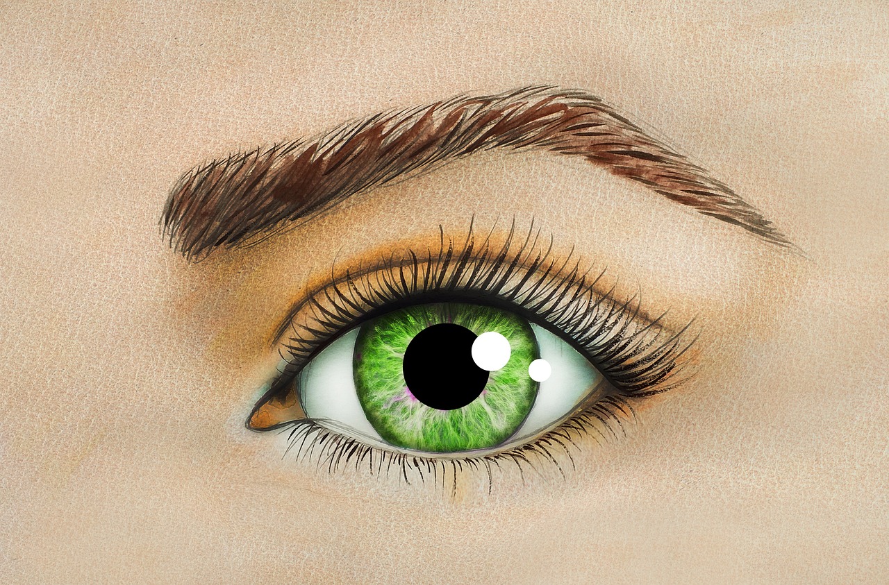Ceja: 5 pasos para definir perfectamente tus cejas 5 ceja