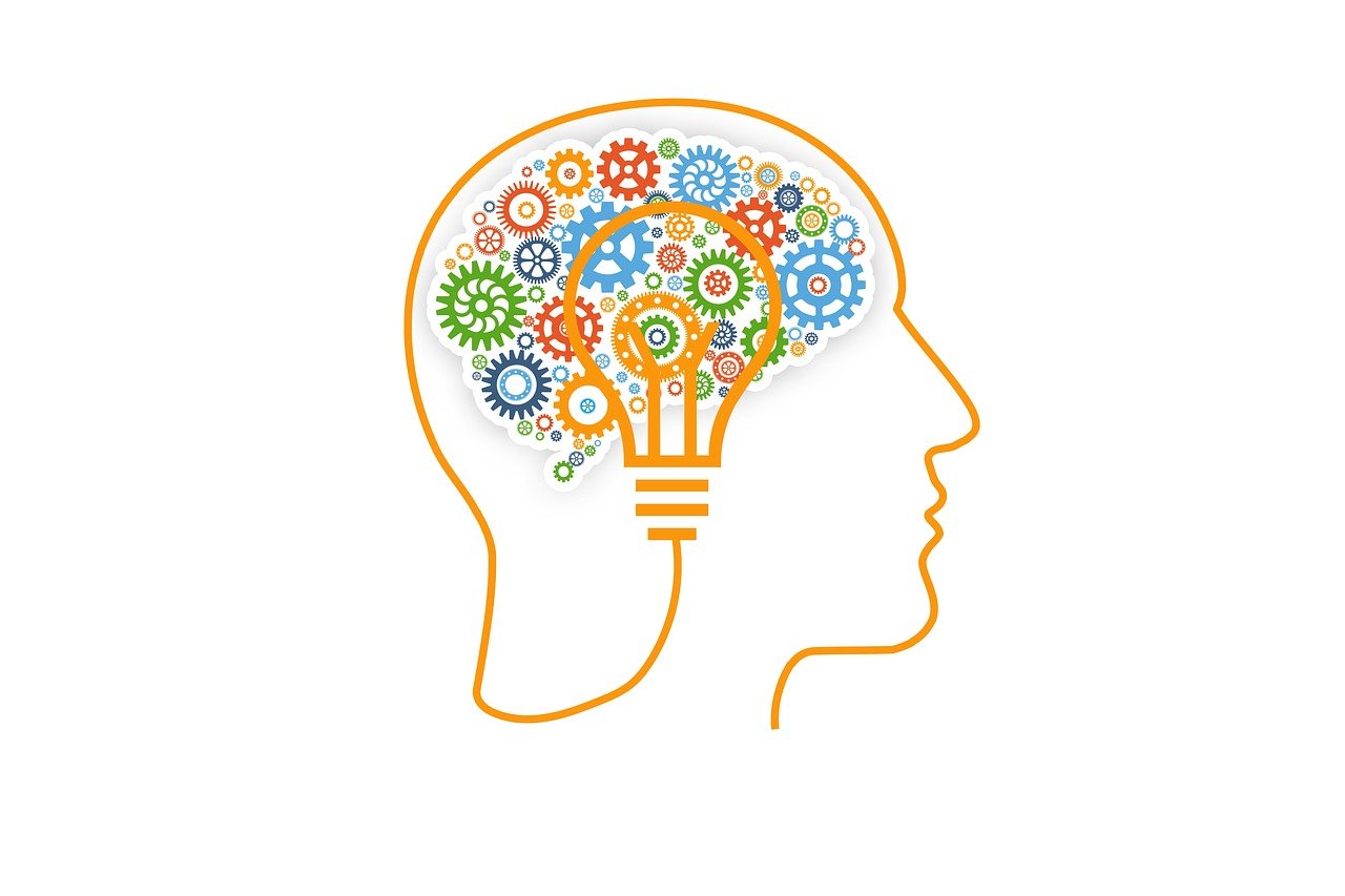 Cerebro dibujo: 7 pasos para potenciar tu creatividad artística 2 cerebro dibujo