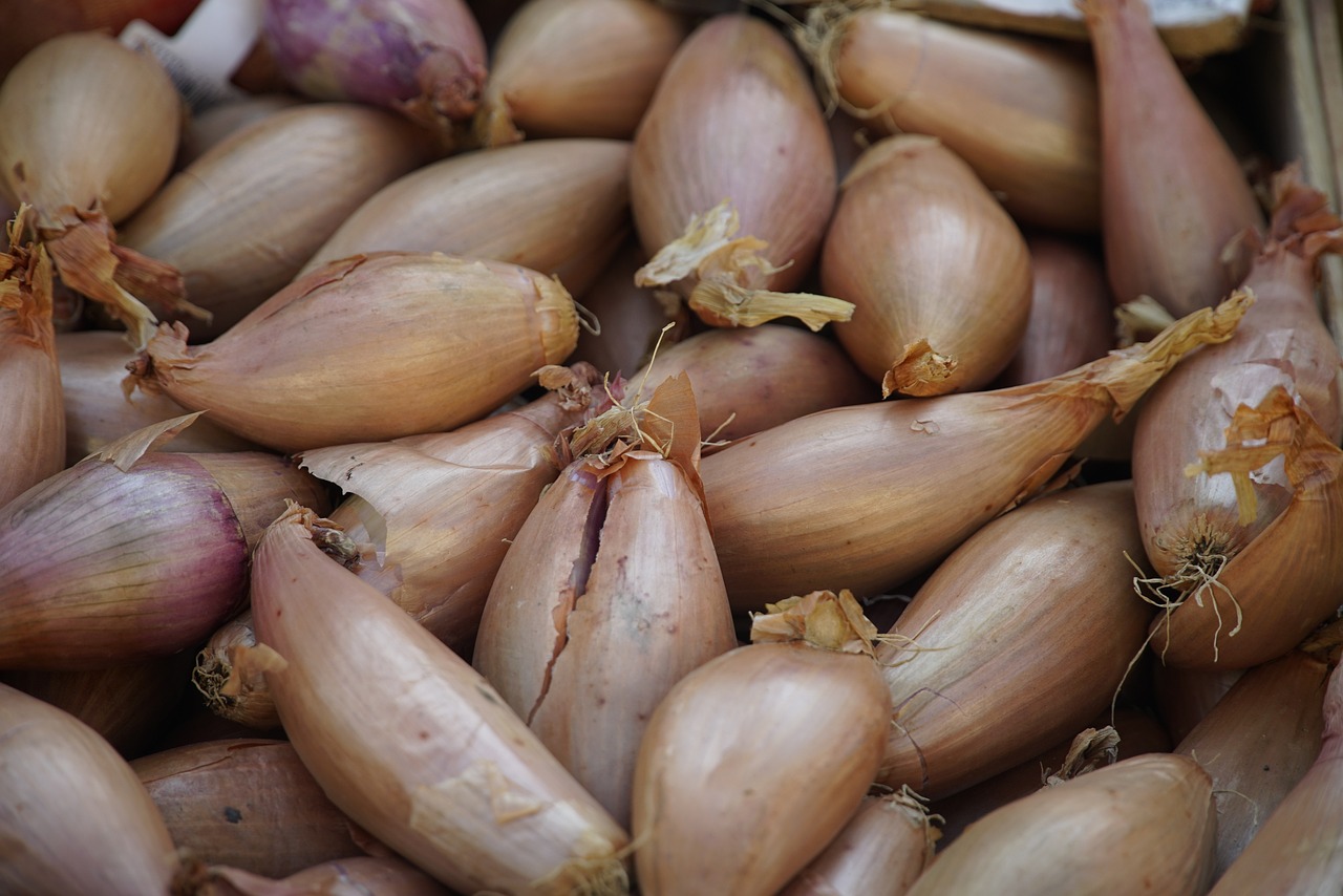 Chalota: 7 sorprendentes beneficios para tu salud y cocina 4 chalota