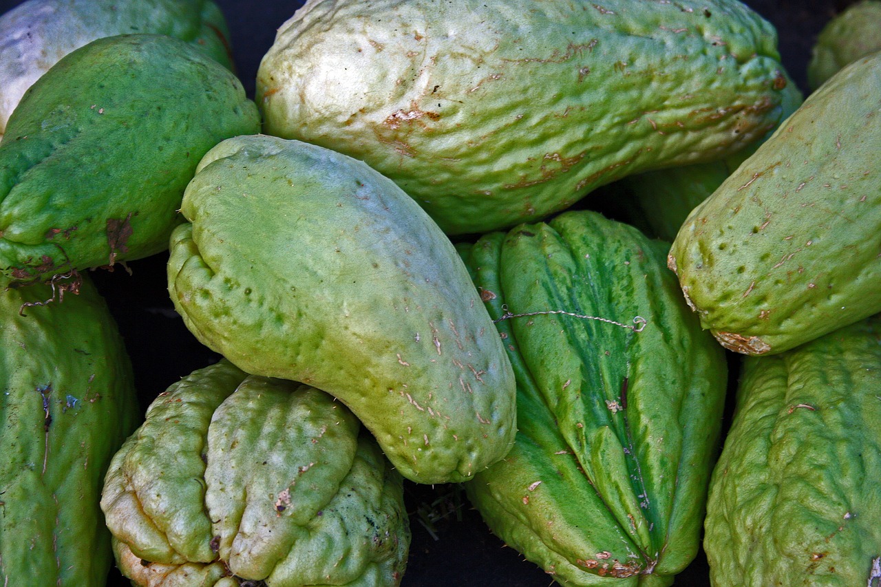 Chayote: 7 sorprendentes beneficios para tu salud y bienestar 4 chayote