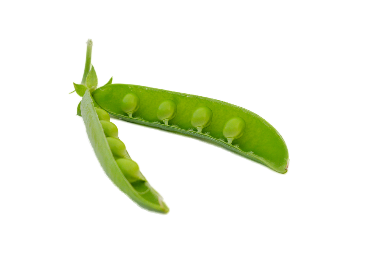 circulo png