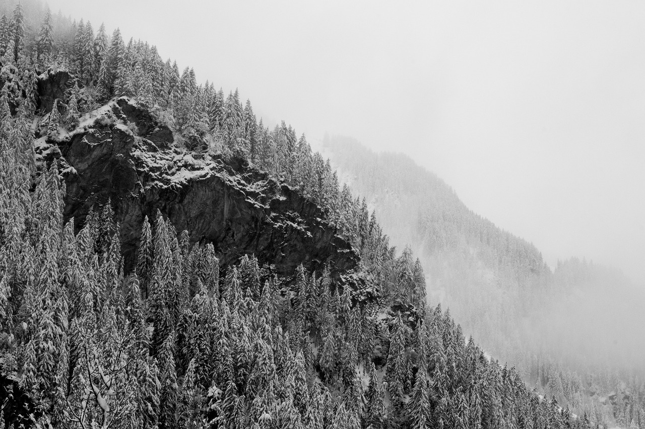 Clan en directo: 5 maneras de potenciar tu presencia online 1 clan en directo