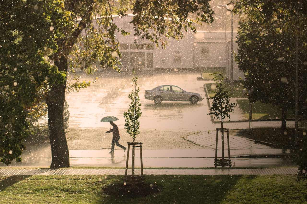 clima cananea