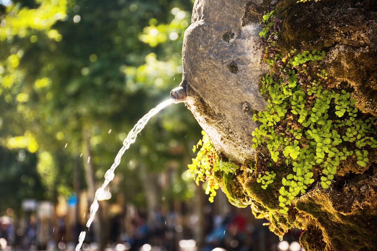 Clima en Guanajuato: 5 datos que debes conocer antes de viajar 1 clima en guanajuato