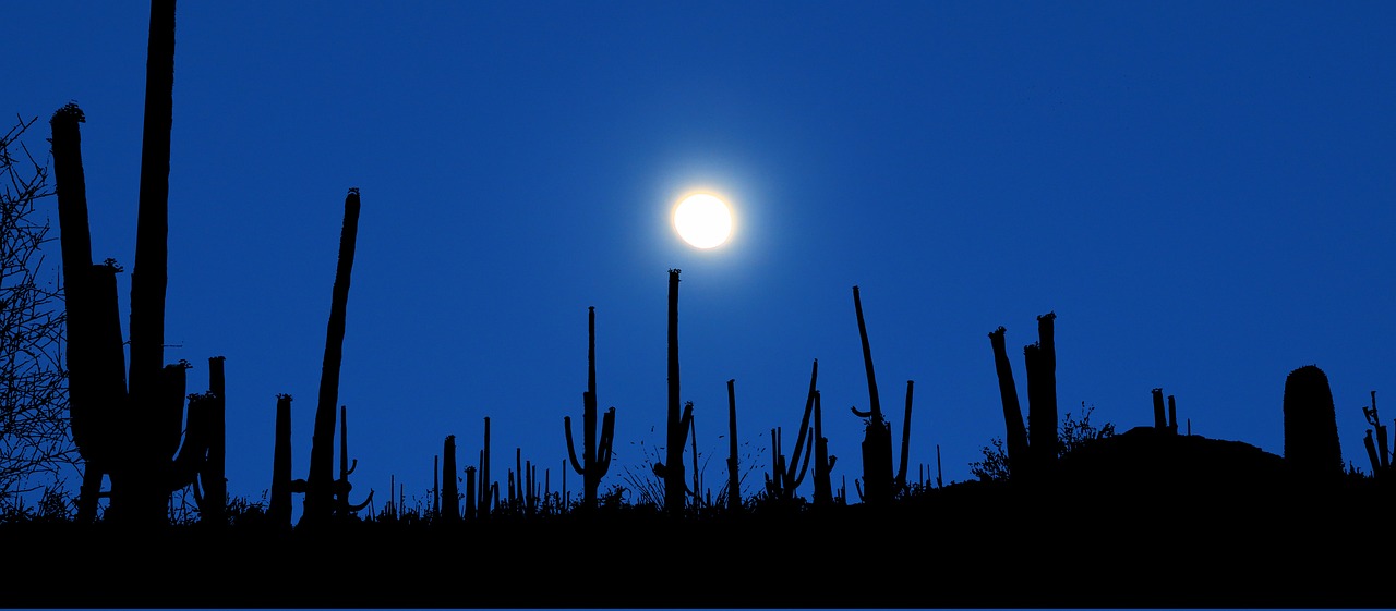 Clima sonora hermosillo: 5 datos que debes conocer sobre el clima 5 clima sonora hermosillo
