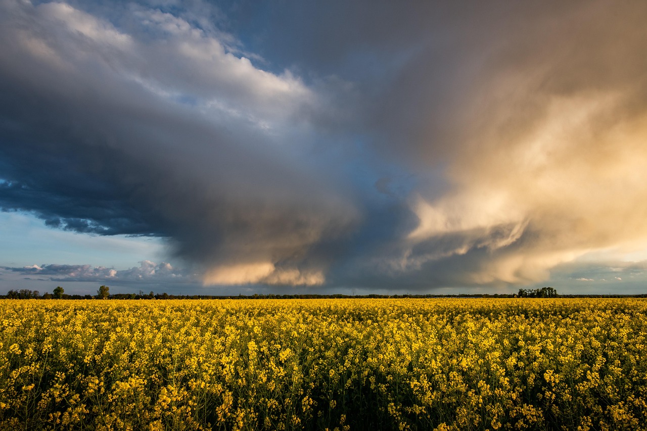 Clouds: 7 tendencias clave para el futuro de la tecnología 2 clouds