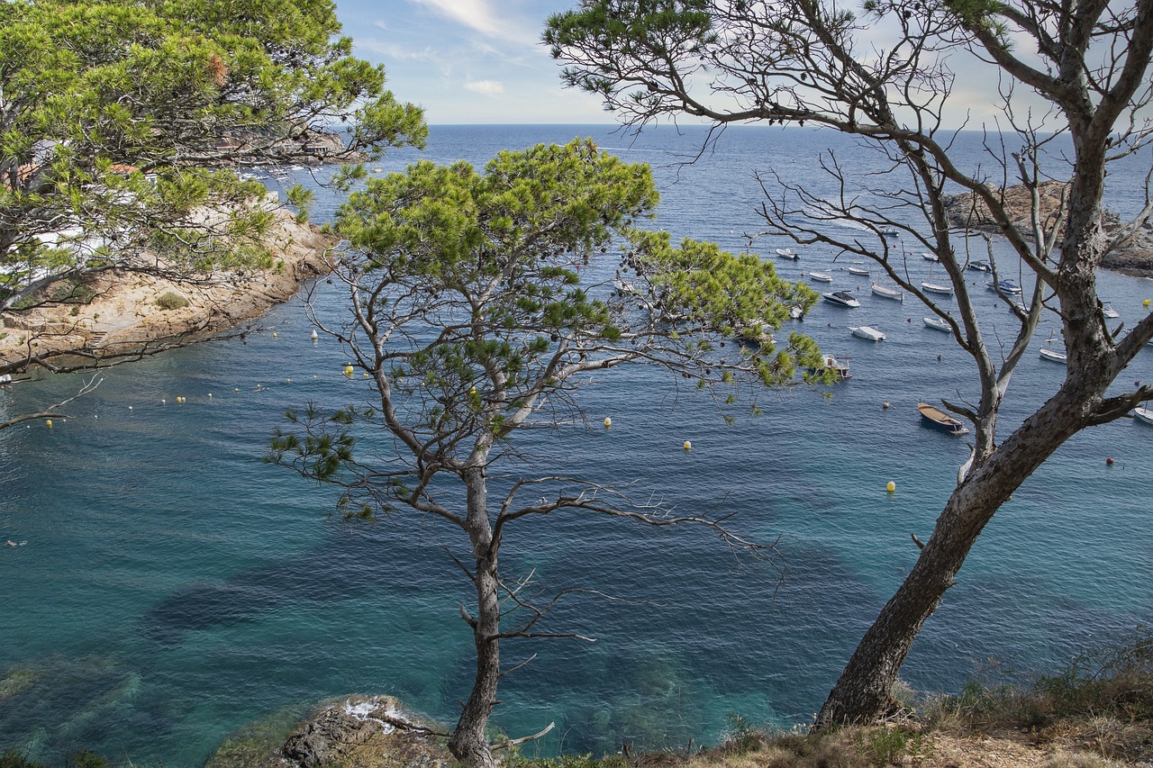 Costa breve: 5 claves para disfrutar al máximo tus vacaciones 4 costa breve