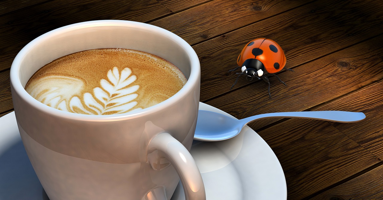 Crema de champiñones: 5 recetas fáciles y deliciosas para ti 4 crema de champiñones