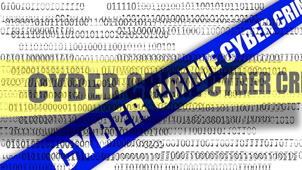 Criminal: 5 maneras de identificar a un delincuente en línea 1 criminal
