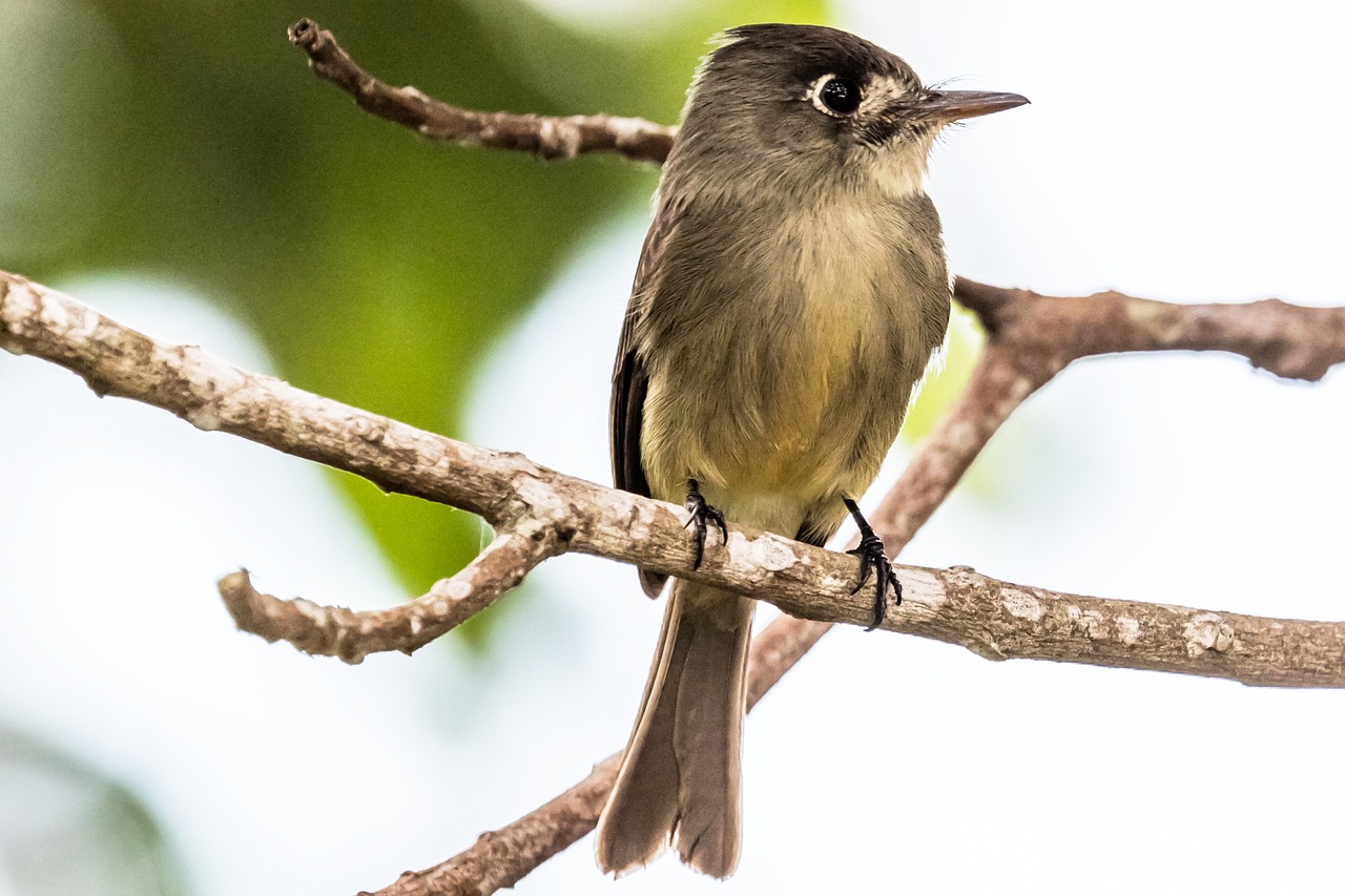 Cristobal Soria: 5 lecciones sobre la pasión por el deporte 5 cristobal soria