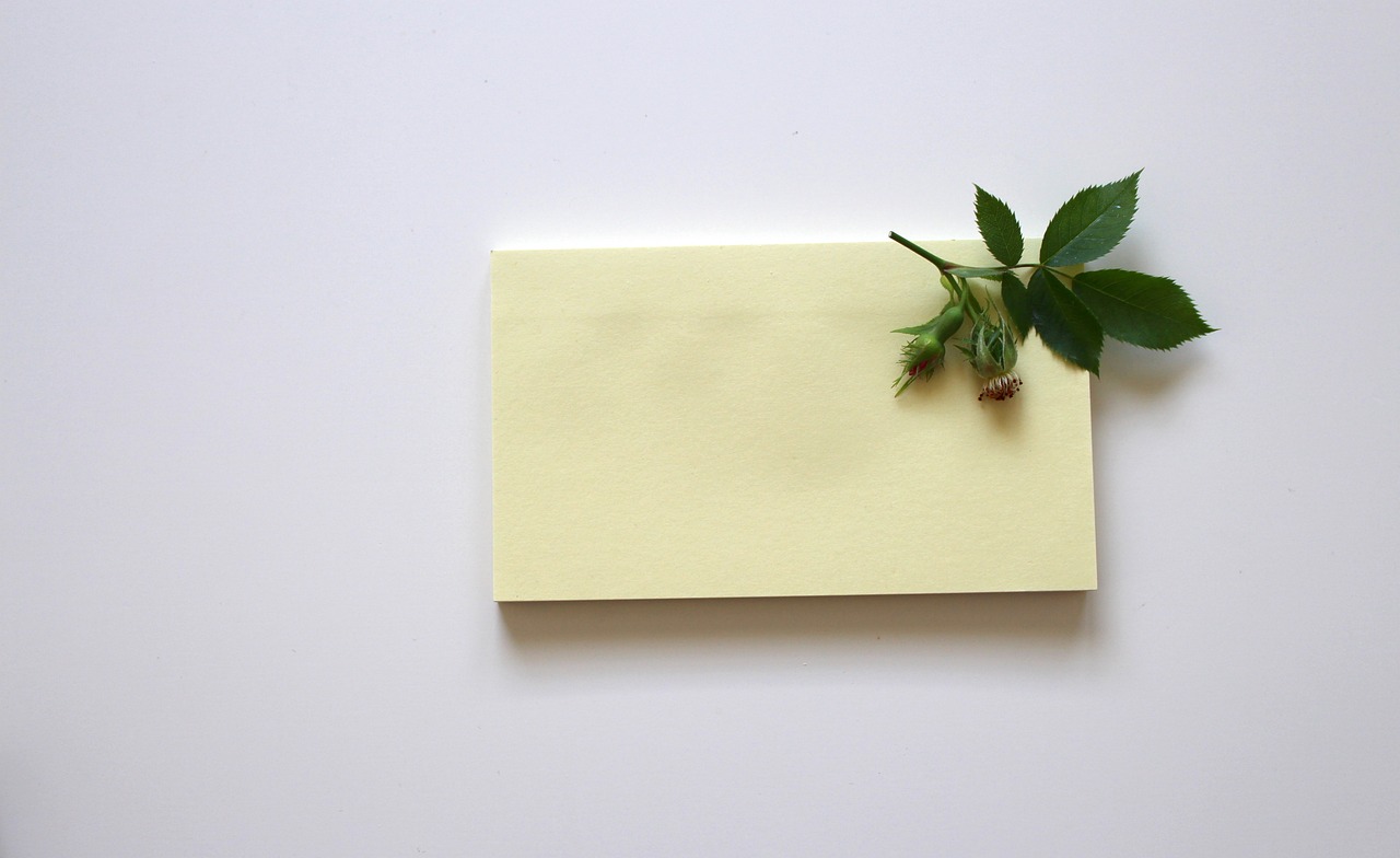 Cuadra: 5 pasos esenciales para optimizar tu contenido en línea 4 cuadra