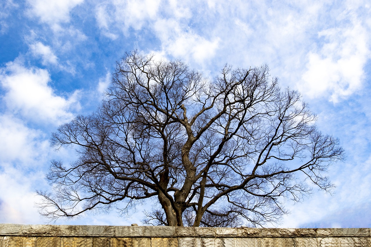 ¿Cuántos años tiene? 5 curiosidades sobre la edad de las estrellas 4 cuántos años tiene