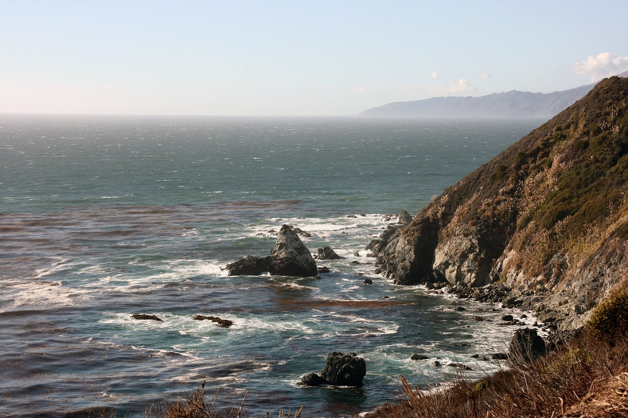 Cuyos: 5 claves para cuidar y mantener a tus mascotas adecuadamente 1 cuyos