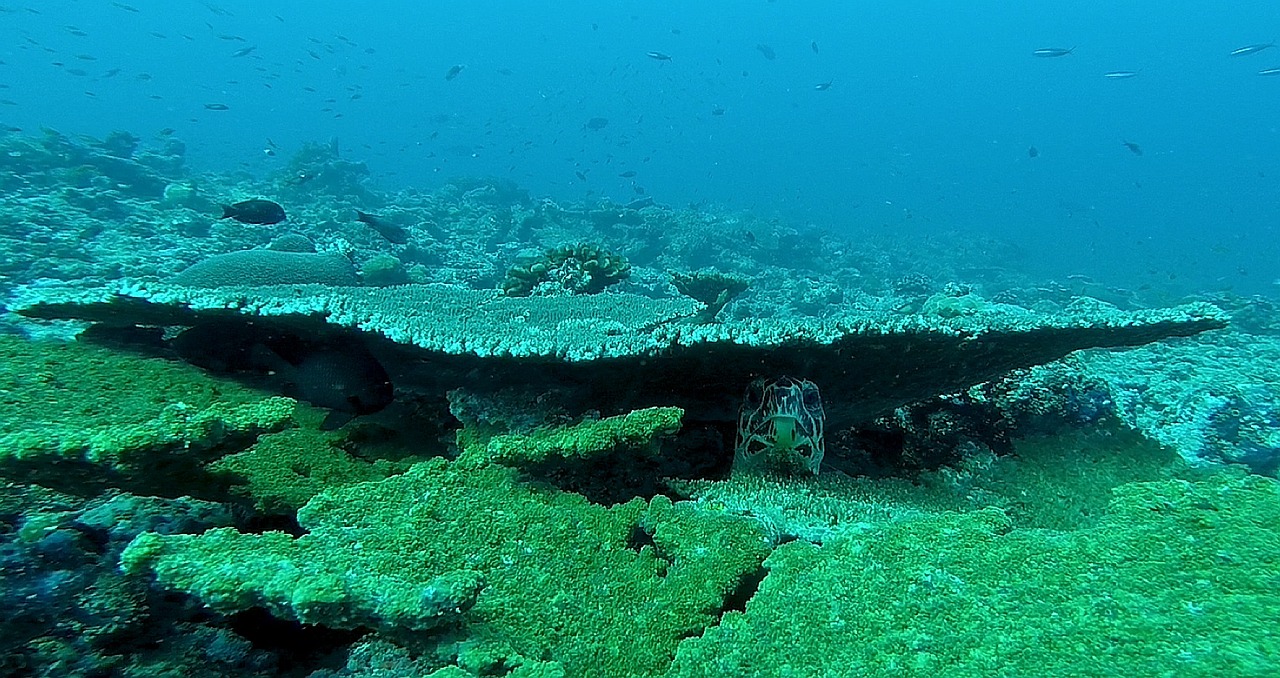 Dive: 5 pasos para potenciar tu creatividad diaria 1 dive